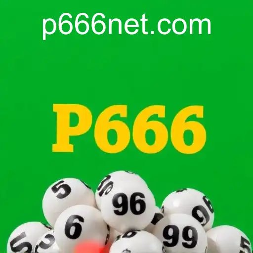 VIP Service p666 - 24/7 Support and Exclusive Benefits